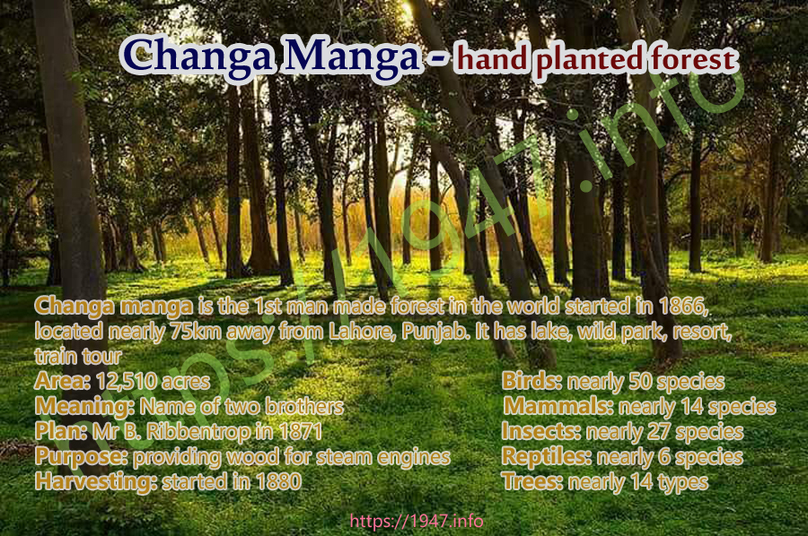 Chhanga manga Forest Lahore is first hand made forest started in 1866